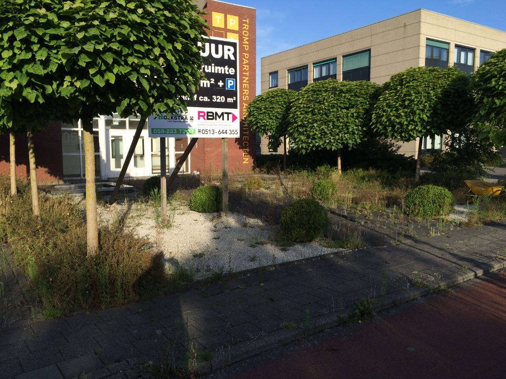 Koops-Tuinbestrating-bedrijfspand-opknappen